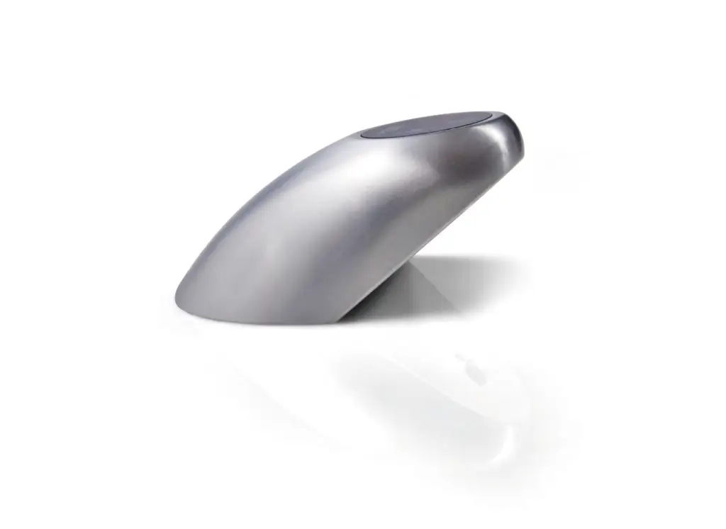 BO-Porpoise-3